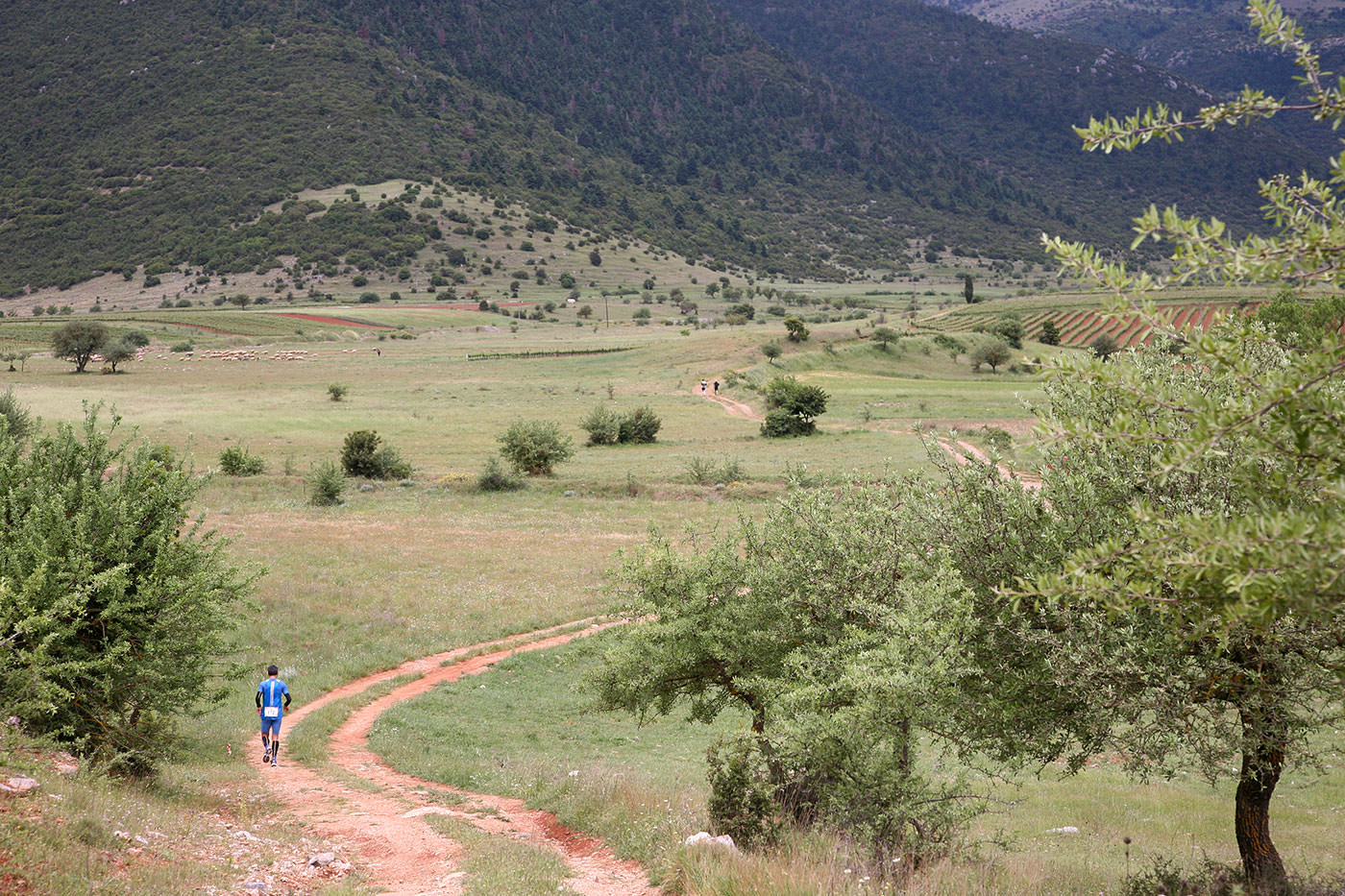 AETHLIOS RUNNING RACE